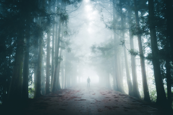 man on a solo hiking trip in the forest