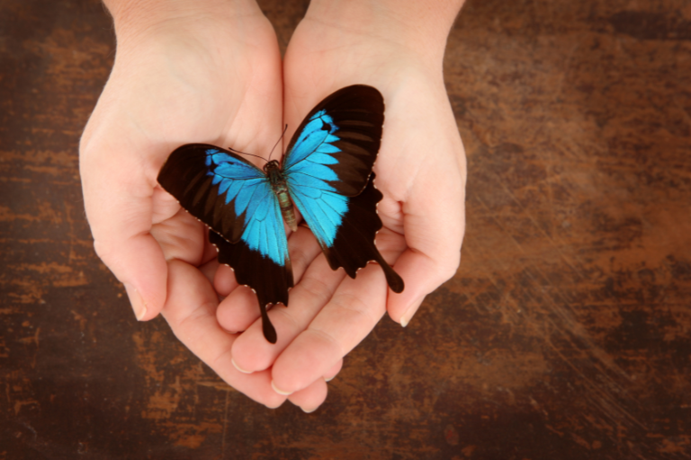 Holding the butterfly gently in your hand means finding your higher self without having to control everything in your life.