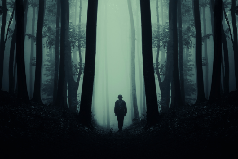 A life without finding the higher self is like living in a fog.